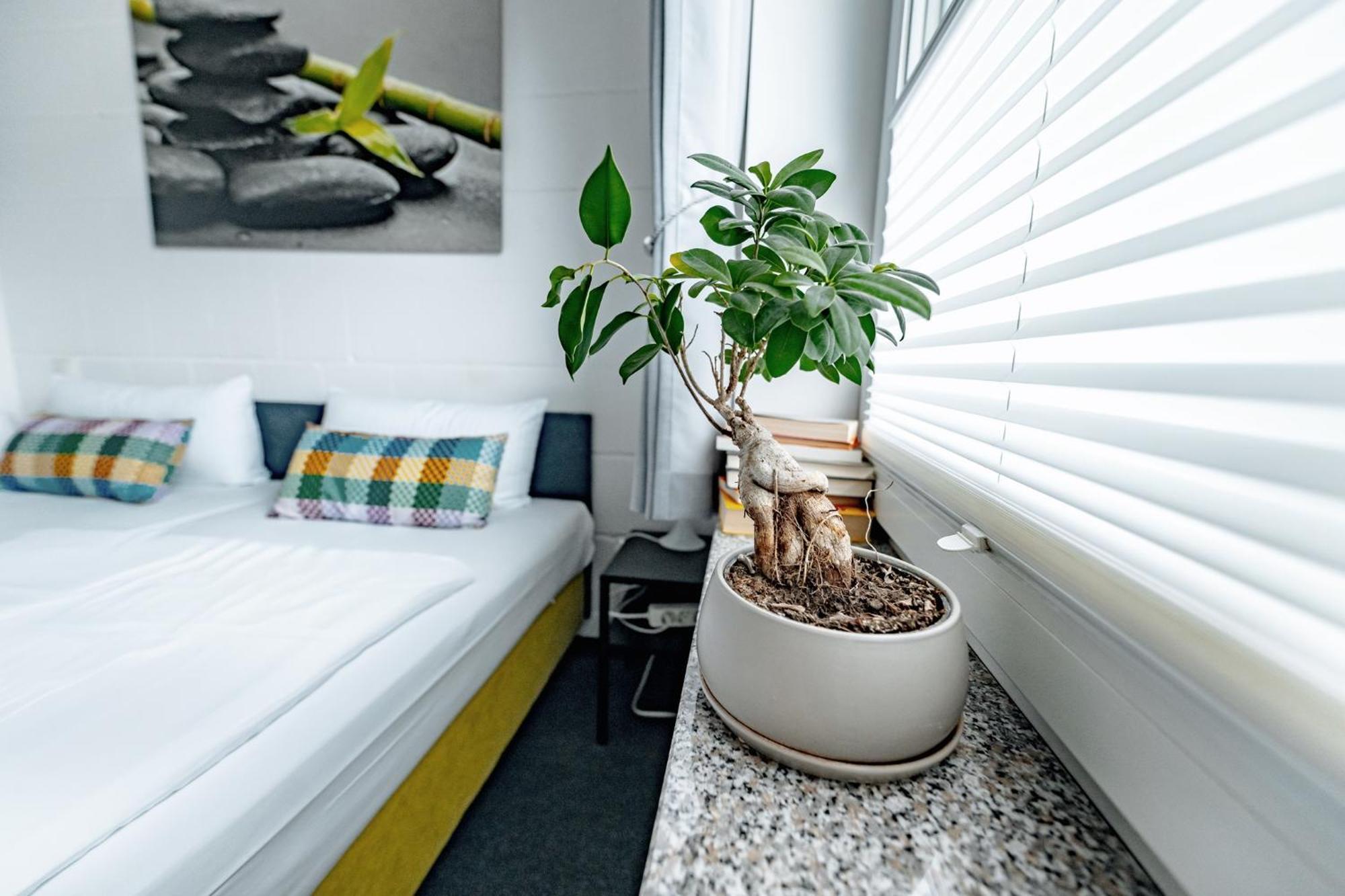 Pension Cafe Nina Benz  Room photo